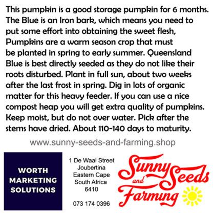 Queensland Blue Pumpkin Heirloom seed packets
