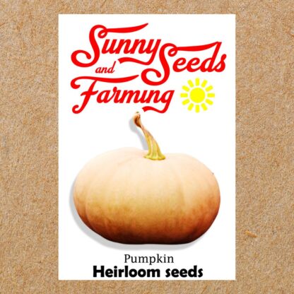 Long Island Cheese Pumpkin Heirloom seeds packets