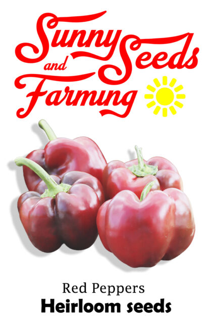 Red peppers Heirloom Seeds