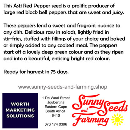 Ansti Red Pepper Heirloom seed packet