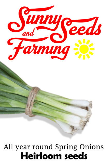 All Year Round Spring Onions Heirloom seed packets