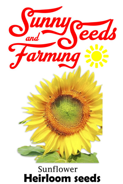 Tarahumara Sunflower Heirloom seed packets