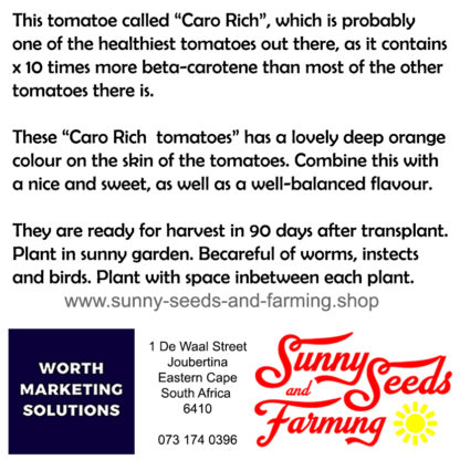 Caro Rich Tomatoes Heirloom seed packets